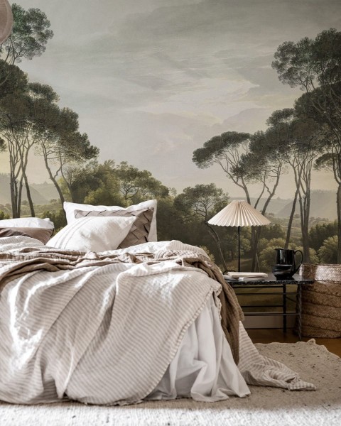 Pine Wood