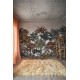 Tropical Bellewood