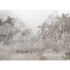 Mysterious Jungle