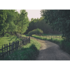 Wooden Fence