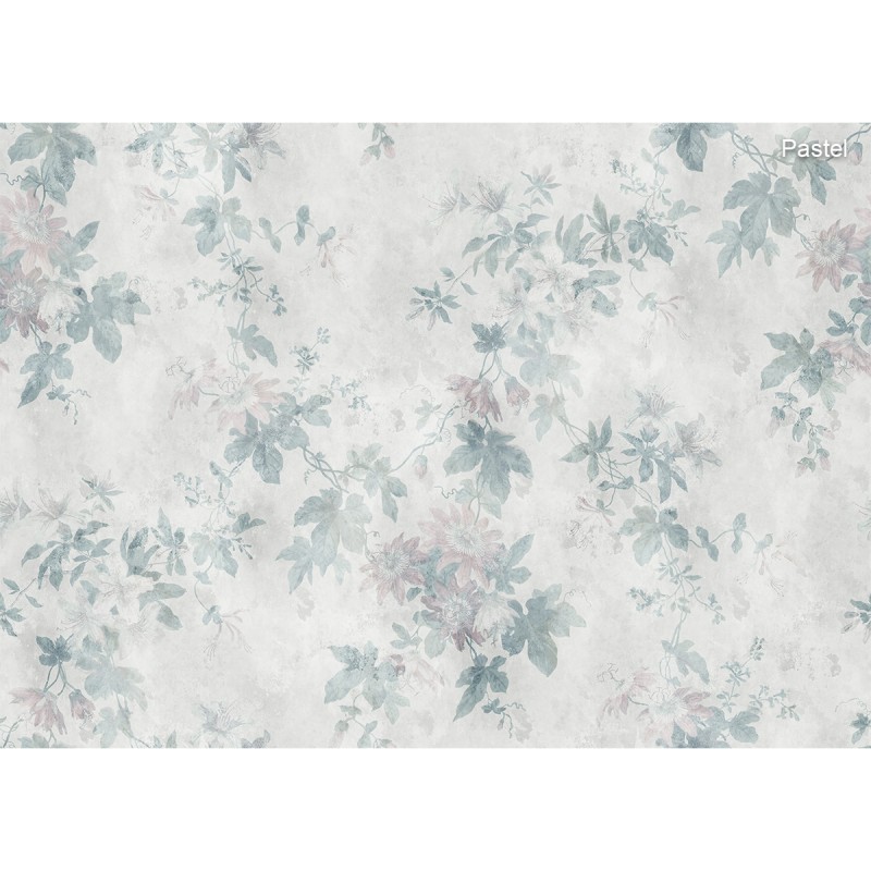Sandberg / Faded Passion 