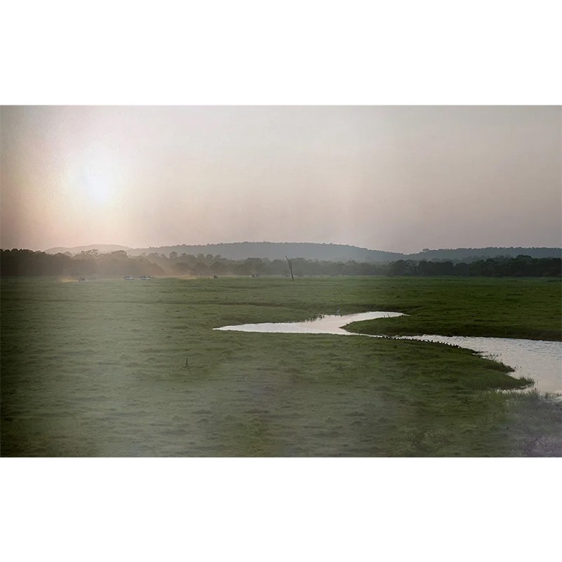 Toli | WDT 117