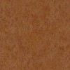 Toli | WVP 8025