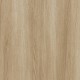 Toli | WVP 8041