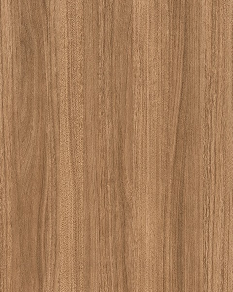 Toli | WVP 8053
