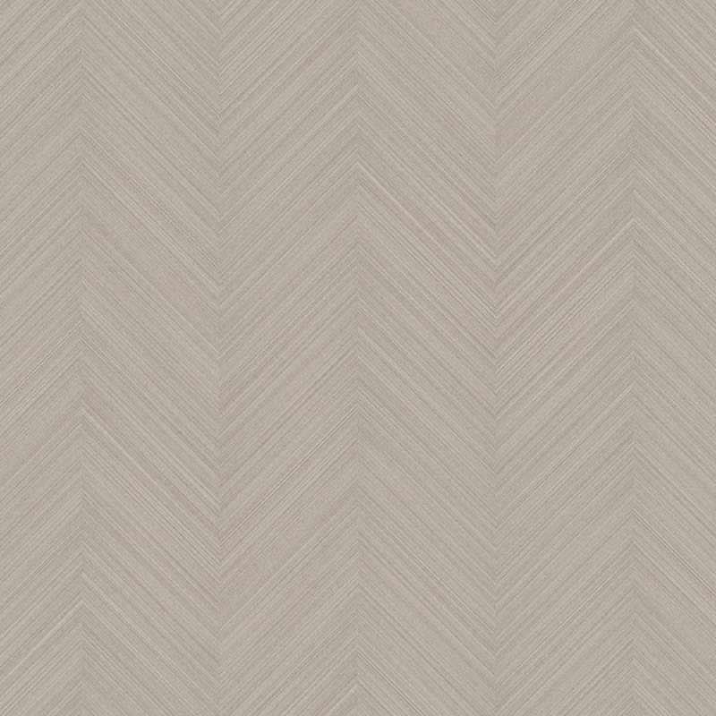 Toli | WVP 8069