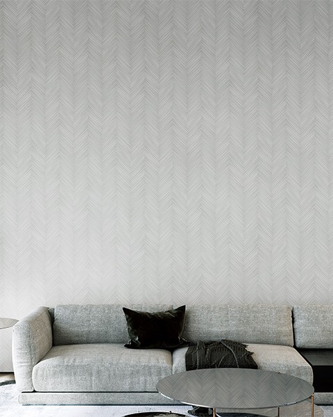 Toli | WVP 8069 Toli | WVP 8069