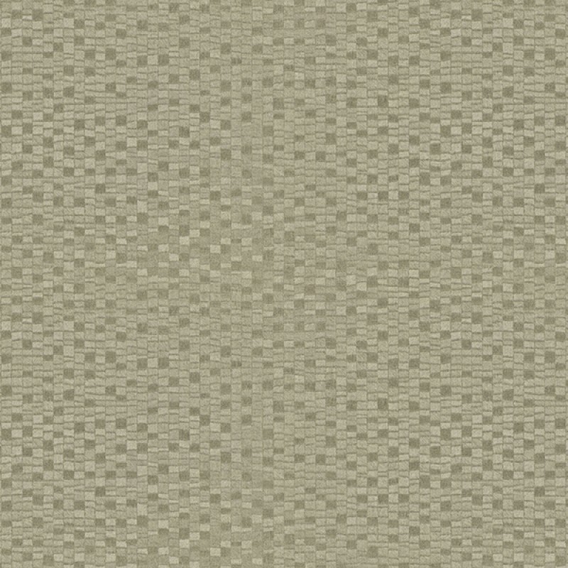 Toli | WVP 8073