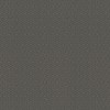 Toli | WVP 8136
