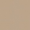 Toli | WVP 8164