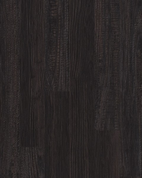 Toli | WVP 8167