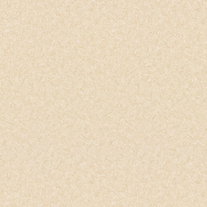 Toli | WVP 8362