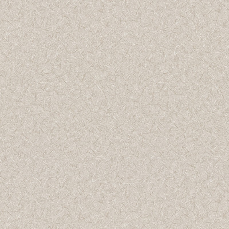 Toli | WVP 8363