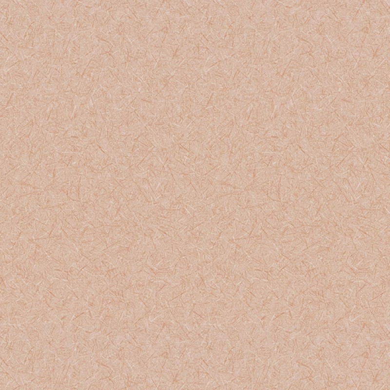 Toli | WVP 8364
