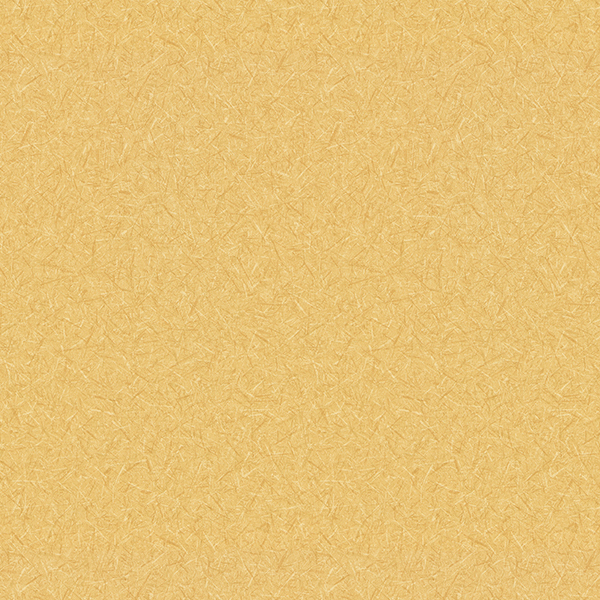 Toli | WVP 8365