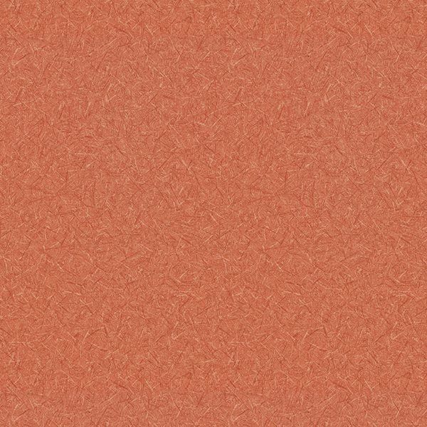 Toli | WVP 8366