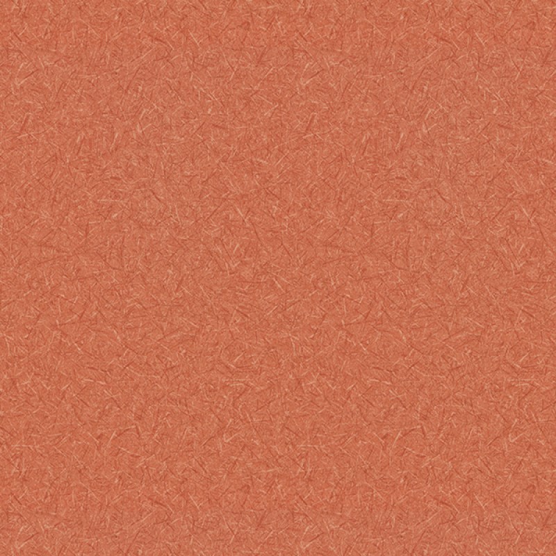 Toli | WVP 8366