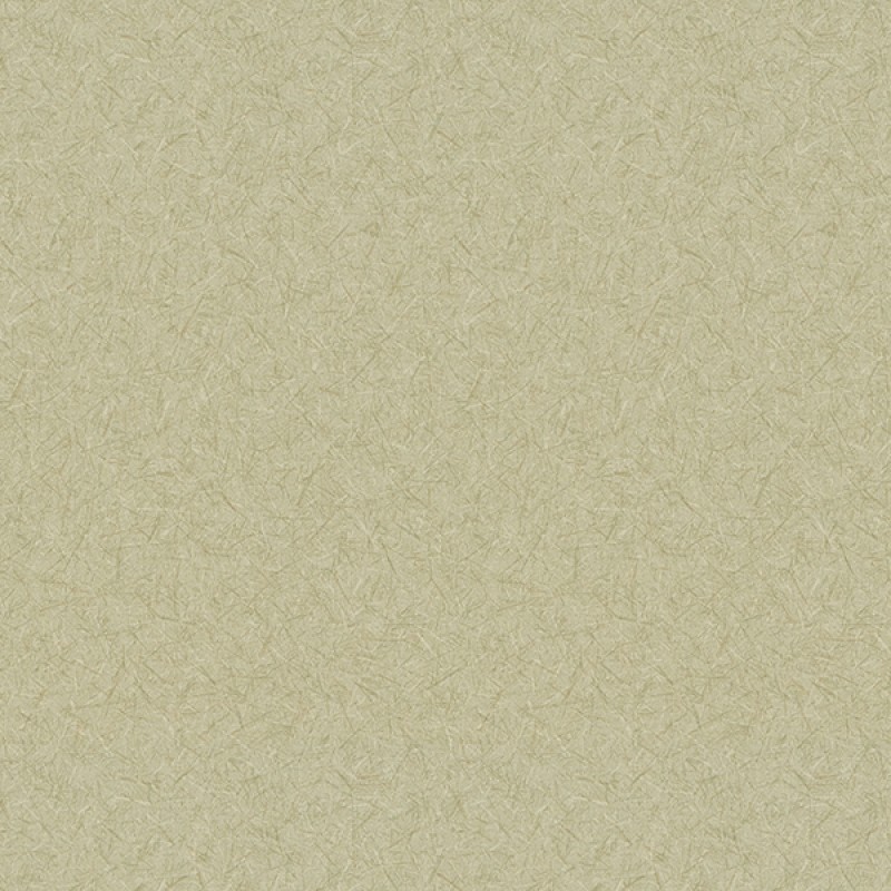 Toli | WVP 8367
