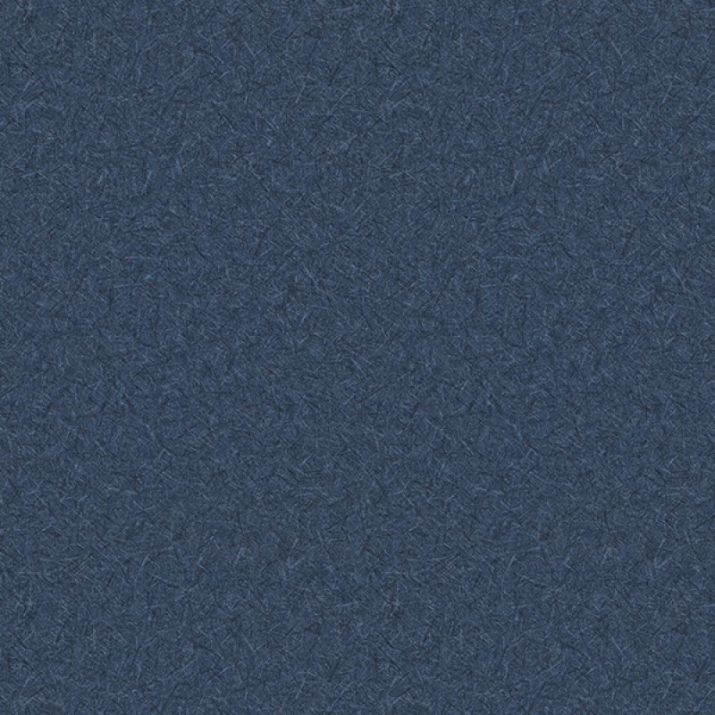 Toli | WVP 8368