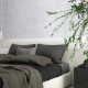 Toli | WVP 8501