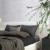 Toli | WVP 8016