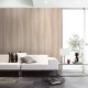 Toli | WVP 8040