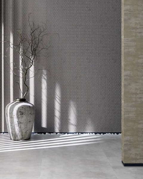 Toli | WVP 8136 Toli | WVP 8136