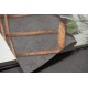 MARBURG | BOTANICA | 1132256