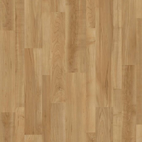 WRW8303 | Toli