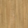 WRW8306 | Toli