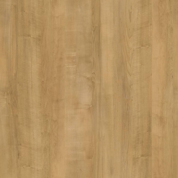 WRW8306 | Toli