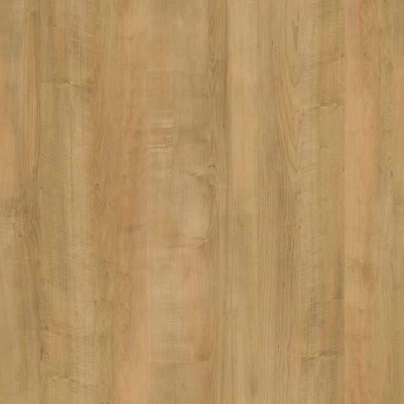 WRW8306 | Toli