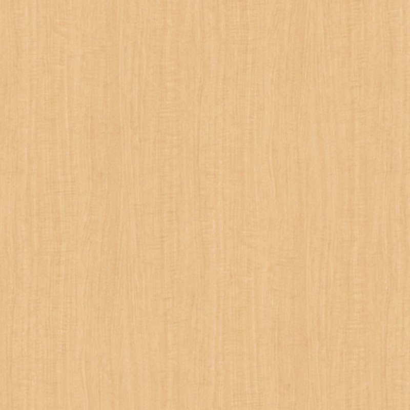 WRW8319 | Toli
