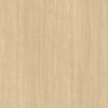 WRW8284 | Toli