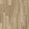 WRW8285 | Toli