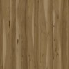 WRW8293 | Toli