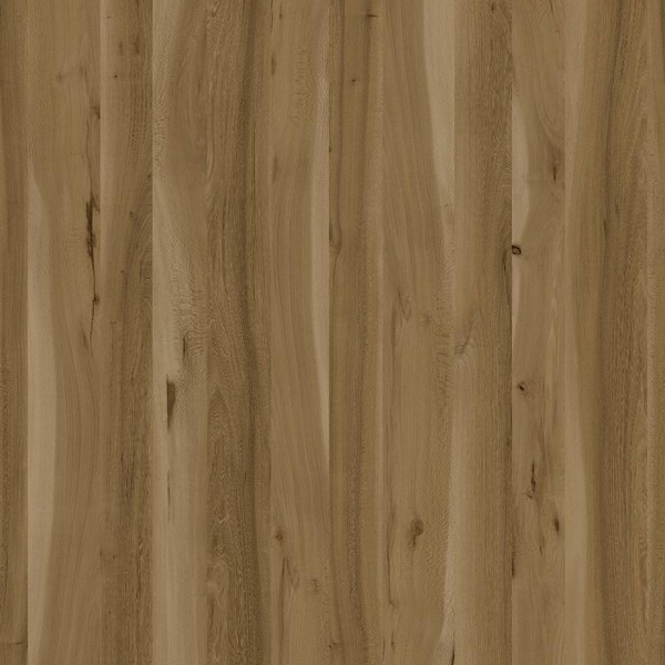 WRW8293 | Toli