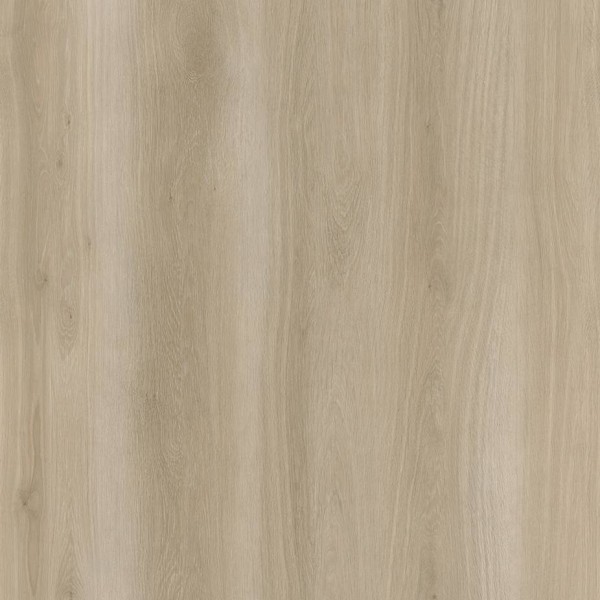 WRW8286 | Toli