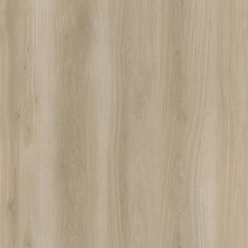 WRW8286 | Toli