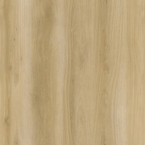 WRW8301 | Toli