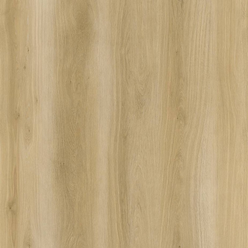 WRW8301 | Toli