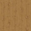 WRW8317 | Toli