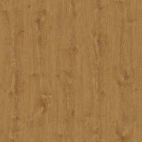WRW8317 | Toli