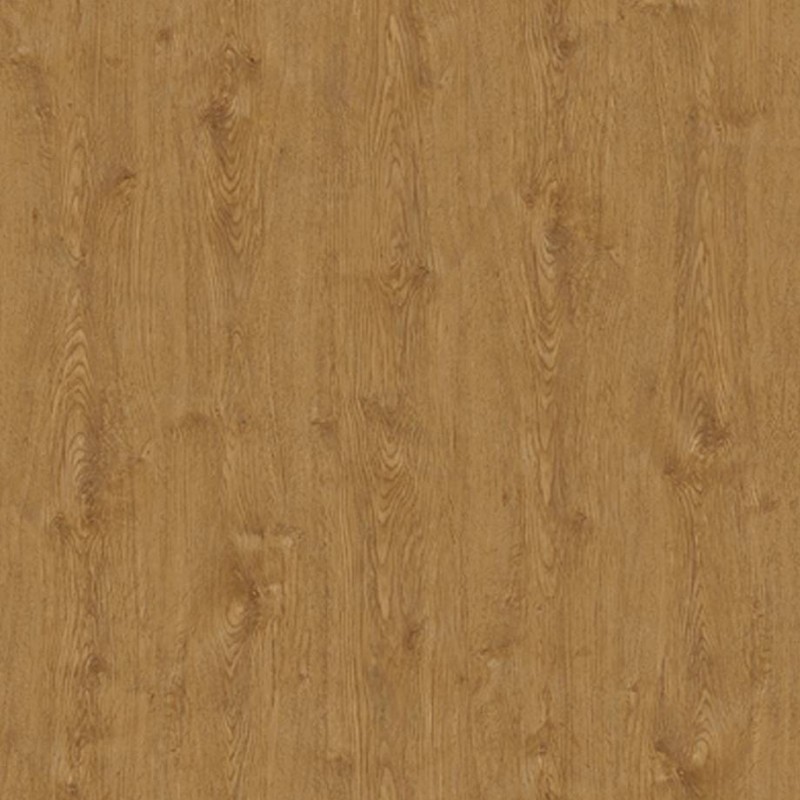 WRW8317 | Toli
